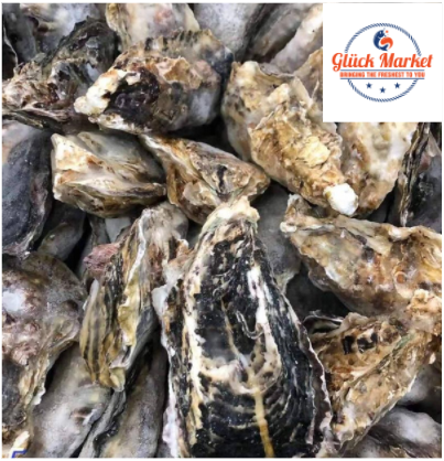 Oysters 1pkt