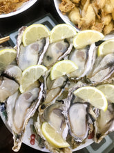 Load image into Gallery viewer, Oysters 1pkt
