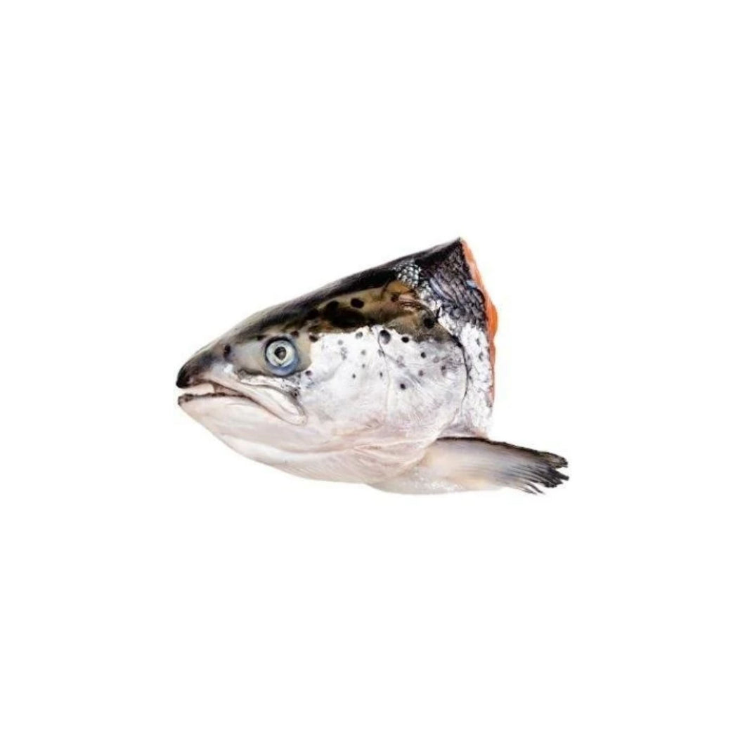 Norwegian Salmon Head 挪威三文鱼头 + Bones - sashimi grade